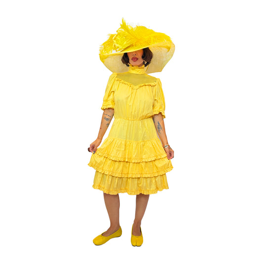 Vintage Ruffle Dress
